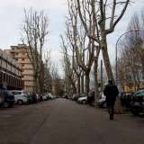 Siamo ora in corso Mazzini, via percorsa da file di platani e su cui si trova dal 1960 l�entrata dell�istituto scolastico Bianchi Dottula